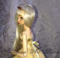 /album/niki/img-4256-jpg/